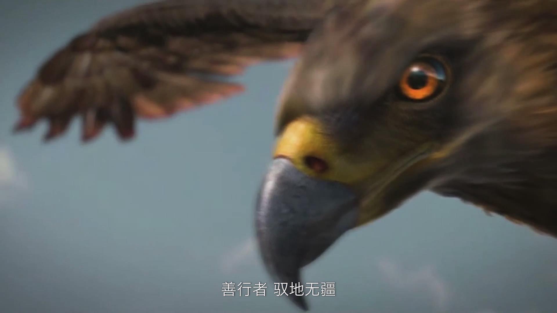 &#23436;&#32654;&#20307;&#32946;